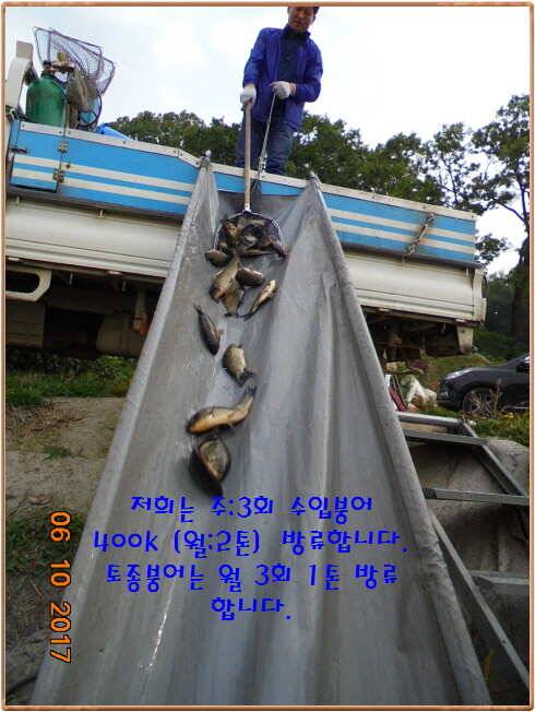 도심속의 작은 쉼터 화성 관리 낚시터입니다하루가 즐겁습니다 (유료터정보 - 유료터점주조황)