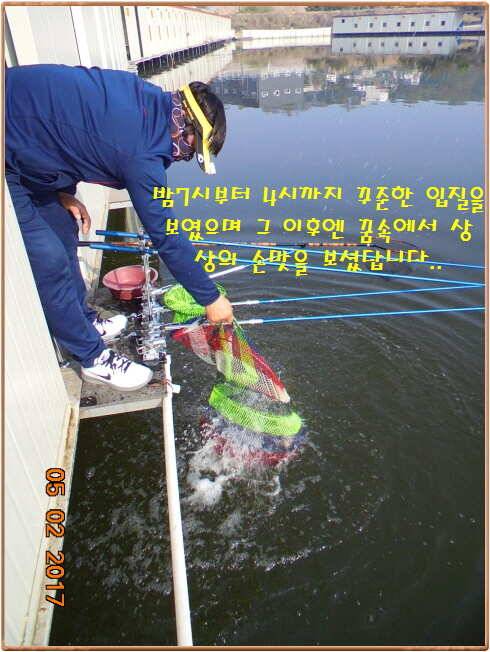 도심속의 작은 쉼터 화성 관리 낚시터입니다 (유료터정보 - 유료터점주조황)
