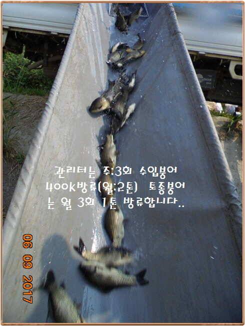 도심속의 작은 쉼터 화성 관리 낚시터입니다성원에 감사드립니다 (유료터정보 - 유료터점주조황)
