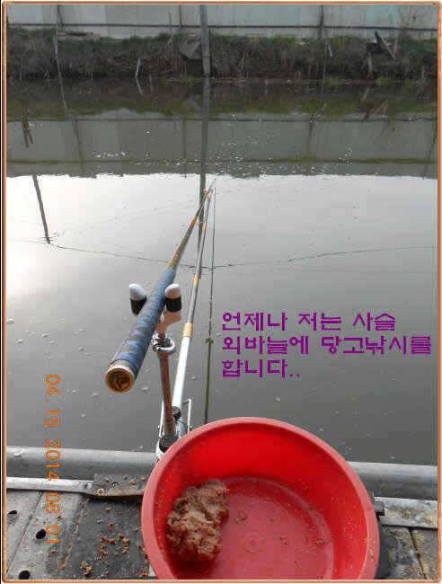 물 맑고 수심좋고 힘찬입질 관리터입니다4월19일 개장 11주년 행사 안내 (유료터정보 - 유료터점주조황)