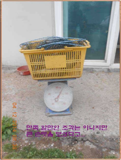 물 맑고 수심좋고 힘찬입질 관리터입니다4월19일 개장 11주년 행사 안내 (유료터정보 - 유료터점주조황)