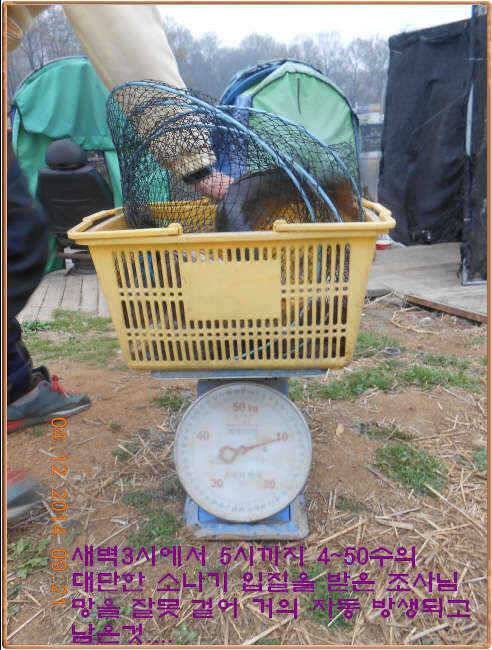 물 맑고 수심좋고 힘찬입질 관리터입니다4월19일 개장 11주년 행사 안내 (유료터정보 - 유료터점주조황)