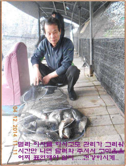 물 맑고 수심좋고 힘찬입질 관리터입니다4월19일 개장 11주년 행사 안내 (유료터정보 - 유료터점주조황)