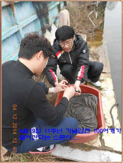 물 맑고 수심좋고 힘찬입질 관리터입니다4월19일 개장 11주년 행사 안내 (유료터정보 - 유료터점주조황)