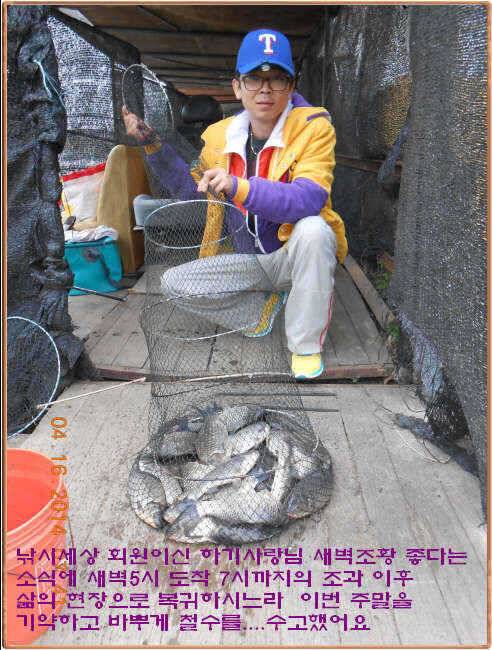 물 맑고 수심좋고 힘찬입질 관리터입니다 4월19일 11주년 행사와 실시간 조황 (유료터정보 - 유료터점주조황)