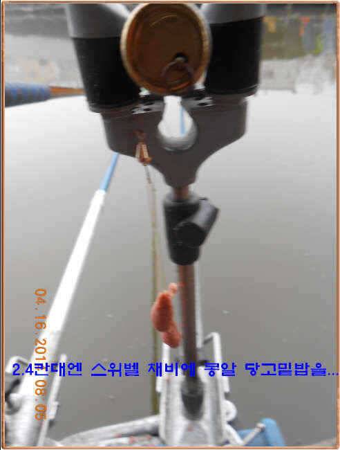 물 맑고 수심좋고 힘찬입질 관리터입니다 4월19일 11주년 행사와 실시간 조황 (유료터정보 - 유료터점주조황)