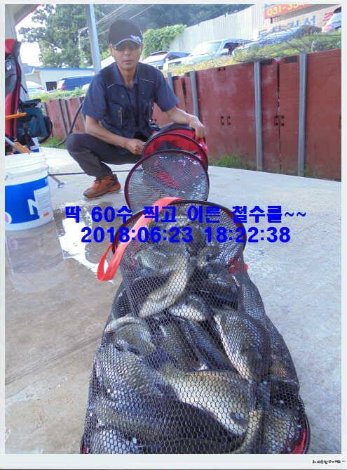 도심속의 작은 쉼터 화성 관리낚시터입니다비 오고 난후 (유료터정보 - 유료터점주조황)