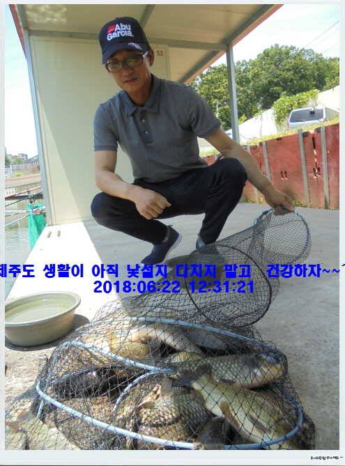 도심속의 작은 쉼터 화성 관리낚시터입니다조황 사진 올립니다 (유료터정보 - 유료터점주조황)