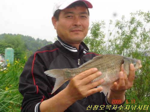 씨알이 좋은 하루 (유료터정보 - 유료터점주조황)