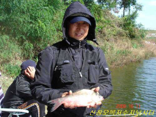 마름속의 붕어들이 이제는 밖으로 밖으로 (유료터정보 - 유료터점주조황)