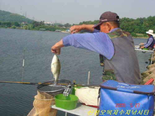 즐거운 손맛 보러 오세요 (유료터정보 - 유료터점주조황)