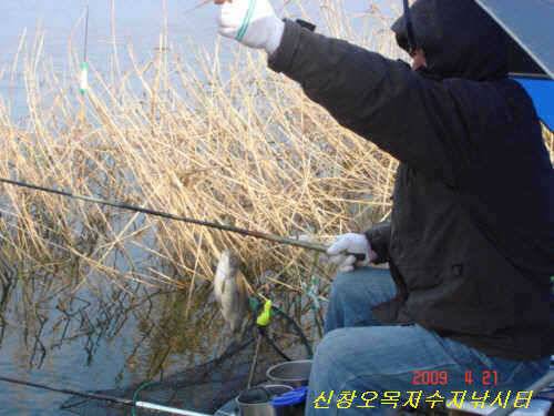 거샌 바람속 참붕어의 대박 (유료터정보 - 유료터점주조황)
