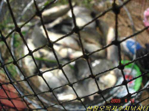 오늘만 같아라 (유료터정보 - 유료터점주조황)