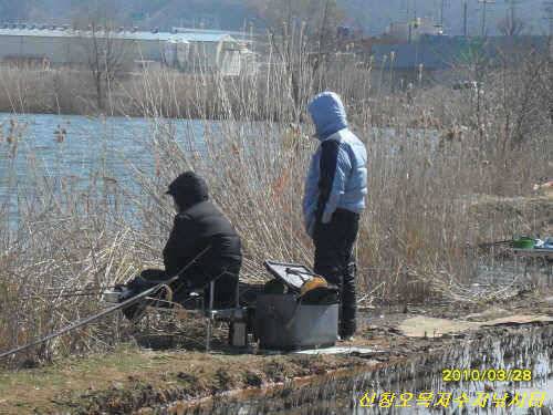 봄날 조황 (유료터정보 - 유료터점주조황)