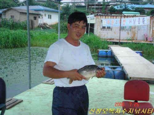 오름수위 터진 입질 (유료터정보 - 유료터점주조황)