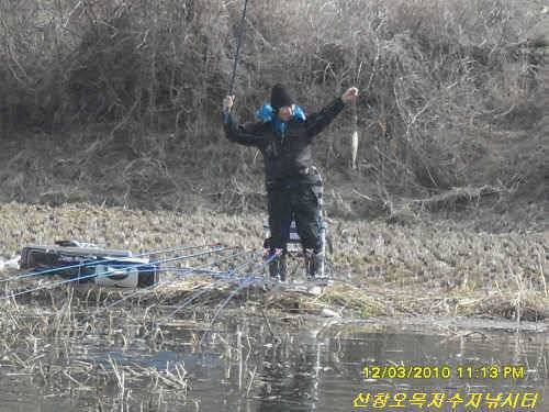 꽃샘 추위속 토종 (유료터정보 - 유료터점주조황)