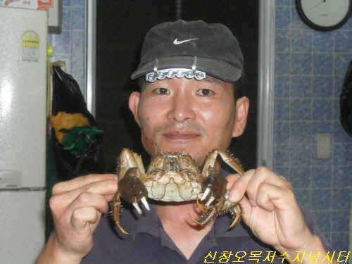 노지 잔교 포인트 조황 (유료터정보 - 유료터점주조황)