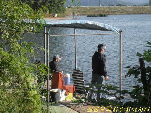 얄미운 바람만 바람만 (유료터정보 - 유료터점주조황)