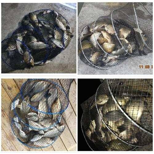 도심속의 작은쉼터 화성관리낚시터 (유료터정보 - 유료터점주조황)