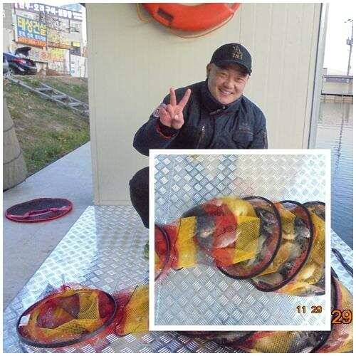 도심속의 작은쉼터 화성관리낚시터 (유료터정보 - 유료터점주조황)