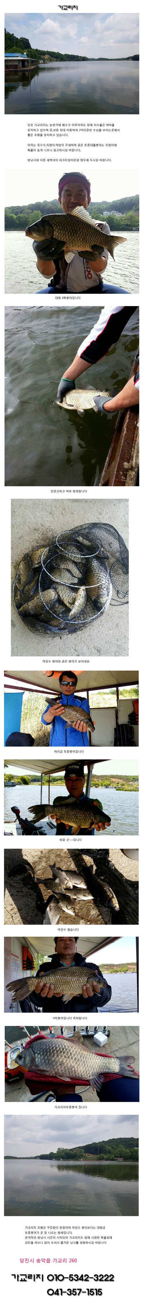 씨알좋고 마릿수좋고 (유료터정보 - 유료터점주조황)