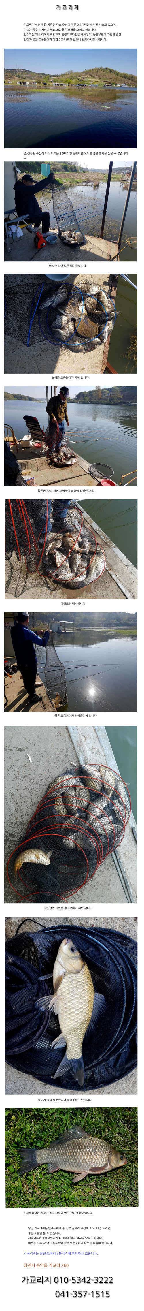 만수위에 폭발적인 입질이 이어지고 (유료터정보 - 유료터점주조황)