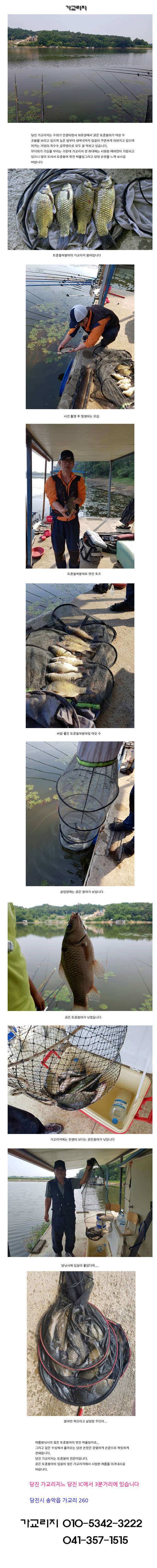 여름밤낚시에 호조황 (유료터정보 - 유료터점주조황)