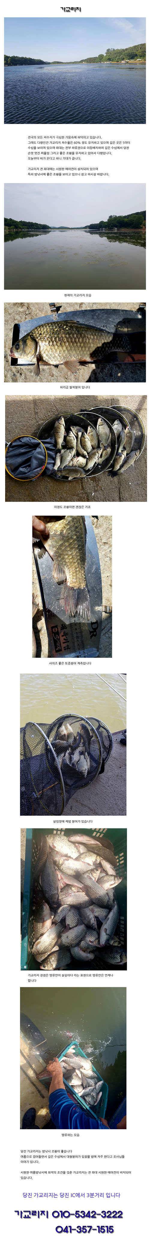 여름밤 깊은 수심에서 대형토종붕어가 (유료터정보 - 유료터점주조황)