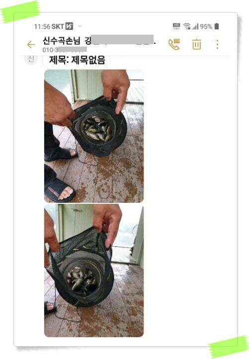 양평낚시터 힐링 수곡낚시터 붕어조황 주말도 고른 조황이 나와주었네요 주말 붕어방류 완료 (유료터정보 - 유료터점주조황)