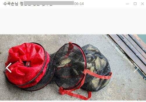 양평낚시터 수곡낚시터 주말 조황 및 붕어 방류소식 전합니다 (유료터정보 - 유료터점주조황)