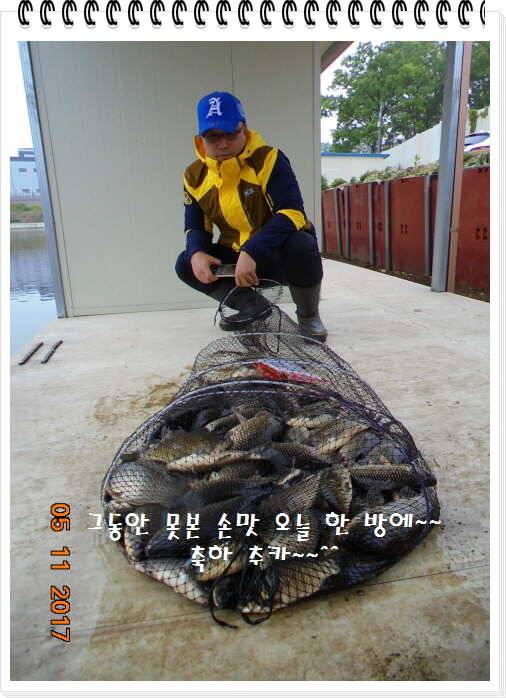 도심속의 작은 쉼터 화성 관리 낚시터입니다 (유료터정보 - 유료터점주조황)