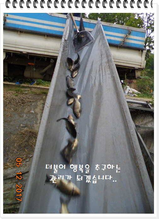도심속의 작은 쉼터 화성 관리 낚시터입니다 (유료터정보 - 유료터점주조황)