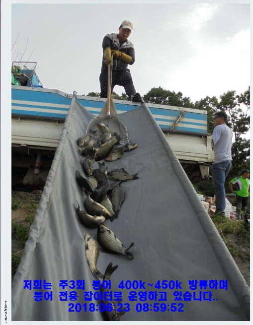 도심속의 작은 쉼터 화성 관리낚시터입니다비 오고 난후 (유료터정보 - 유료터점주조황)