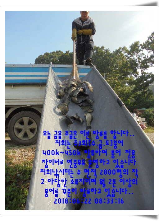 도심속의 작은 쉼터 화성 관리낚시터입니다조황 사진 올립니다 (유료터정보 - 유료터점주조황)