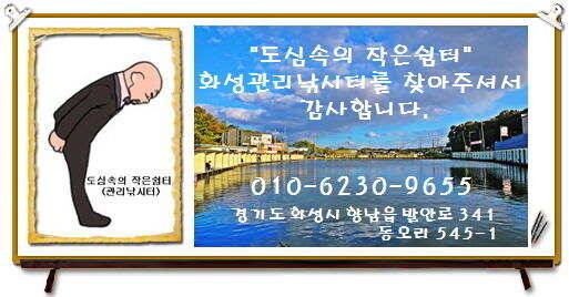 도심속의 작은 쉼터 화성관리낚시터 (유료터정보 - 유료터점주조황)