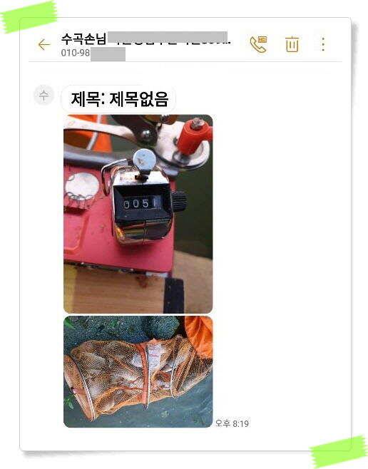 좌대낚시 노지낚시 양평 수곡낚시터 꾸준하고 고른조황 좋습니다 오늘 붕어 방류 마쳤습니다 (유료터정보 - 유료터점주조황)