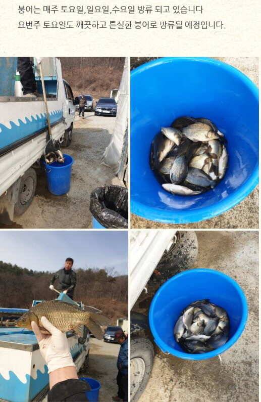 fish_pay_ef17d_060636_85777.jpg
