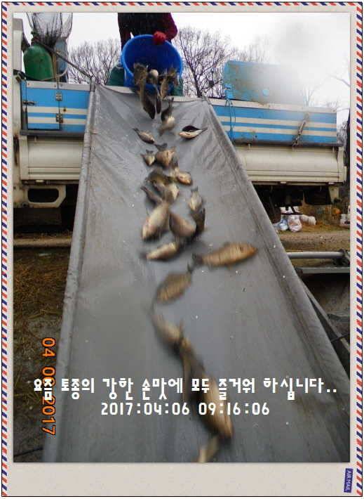 도심속의 작은 쉼터 화성 관리 낚시터입니다급전달 사항 (유료터정보 - 유료터점주조황)