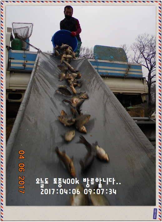 도심속의 작은 쉼터 화성 관리 낚시터입니다대박입니다 (유료터정보 - 유료터점주조황)
