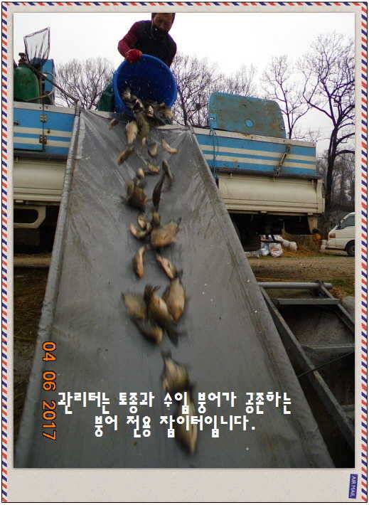 도심속의 작은 쉼터 화성 관리 낚시터입니다대박입니다 (유료터정보 - 유료터점주조황)