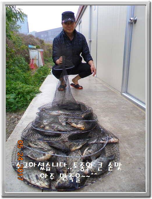 도심속의 작은 쉼터 화성 관리 낚시터입니다밤 밤 밤이 좋습니다 (유료터정보 - 유료터점주조황)
