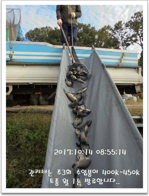 도삼속의 작은 쉼터 화성 관리 낚시터입니다 (유료터정보 - 유료터점주조황)
