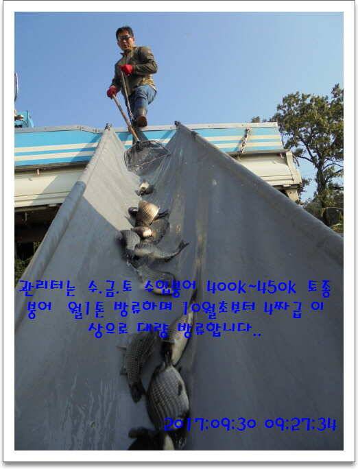 도심속의 작은 쉼터 화성 관리 낚시터입니다긴연휴도 끝인가 봅니다 (유료터정보 - 유료터점주조황)