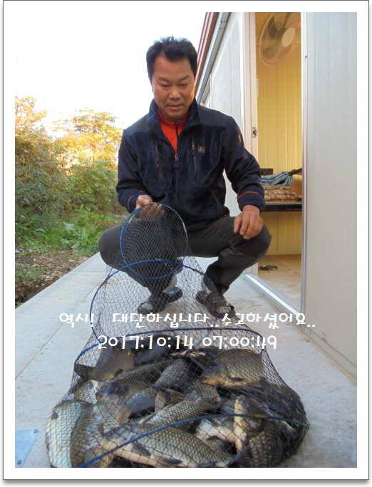 도심속의 작은 쉼터 화성 관리 낚시터입니다좋았습니다 (유료터정보 - 유료터점주조황)