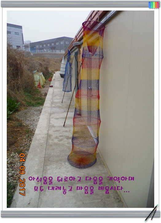 도심속의 작은 쉼터 화성 관리 낚시터입니다좋습니다 (유료터정보 - 유료터점주조황)