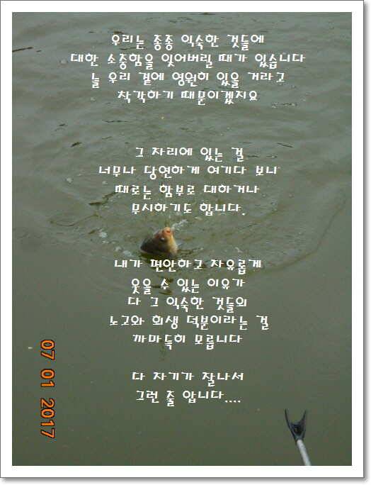 도심속의 작은 쉼터 화성 관리 낚시터입니다입질엔 주야가 없습니다 (유료터정보 - 유료터점주조황)