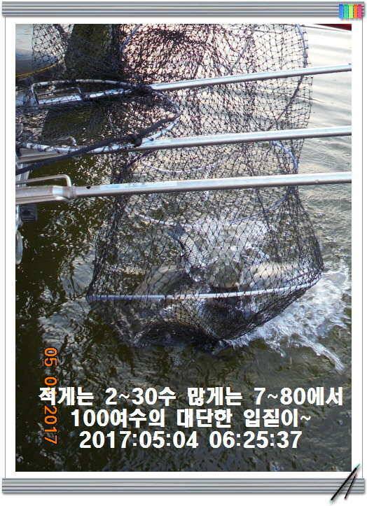 도심속의 작은 쉼터 화성 관리 낚시터입니다 (유료터정보 - 유료터점주조황)