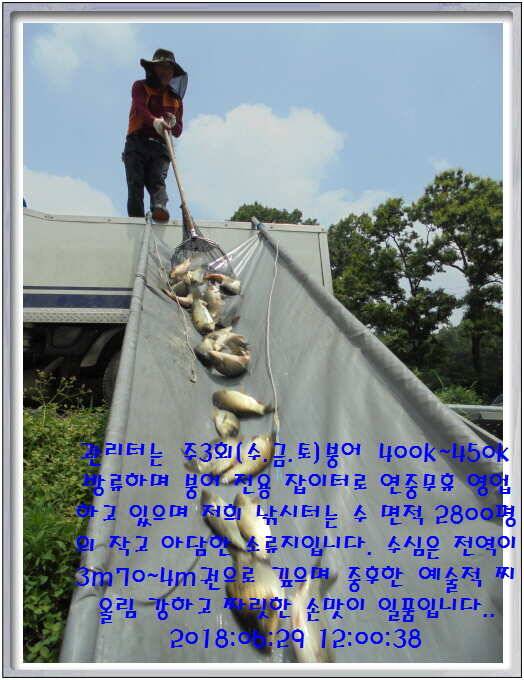 도심속의 작은 쉼터 화성 관리낚시터입니다쉬어가세요 (유료터정보 - 유료터점주조황)