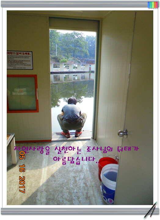 도심속의 작은 쉼터 화성 관리 낚시터입니다 (유료터정보 - 유료터점주조황)