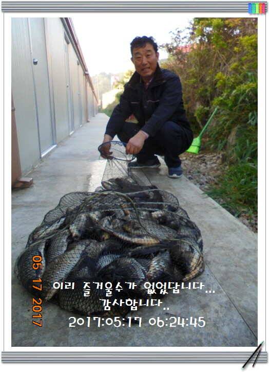 도심속의 작은 쉼터 화성 관리 낚시터입니다 (유료터정보 - 유료터점주조황)